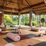 Meditation bali ubud retreat retreats vedic one oneworld try